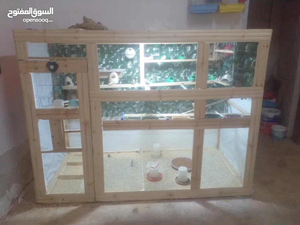 عصافير جنه 20 جوزه مكينة إنتاج مشالله  جوزين حب منتج