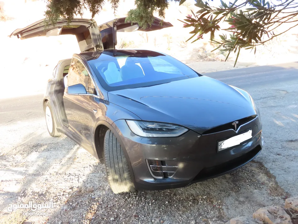 2021 Tesla Model X 100D