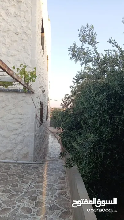 بيت لبيع تقريبن مطل على البحر الميت