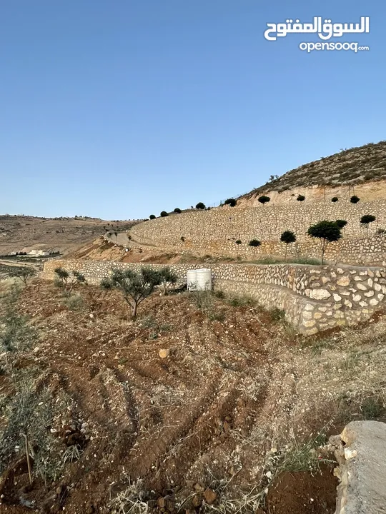 مزرعة في مغاريب السلط من المالك مباشرة