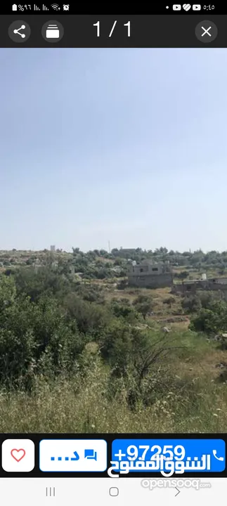 ارض للببع كوشان طابو سلطه  مساحه 45دونم طابو في دير غسانه