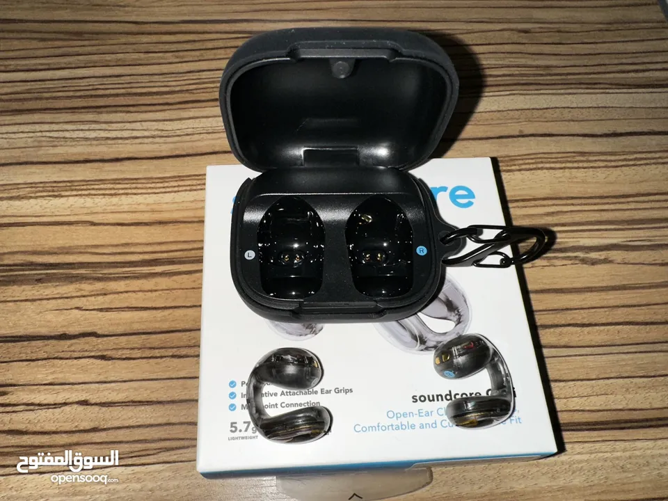 Soundcore C30i