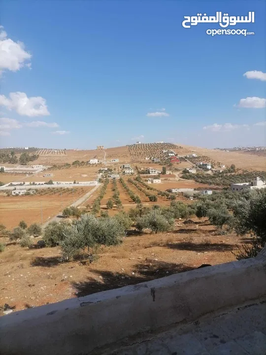 مزرعه للبيع الدجنية