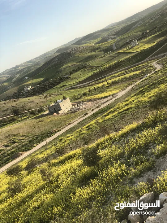 أرض بسعر مغري