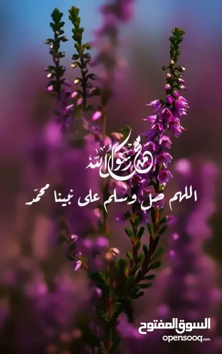 شقة للبيع ضاحية الأقصى
