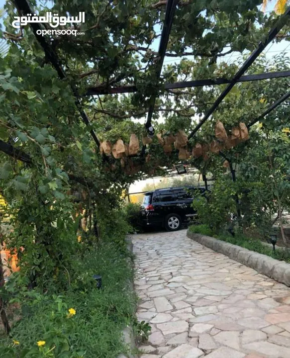 مزرعة مميزة و مشجرة للبيع بسعر مغري