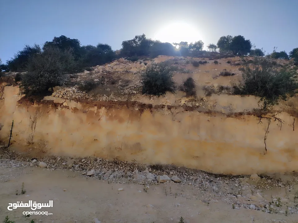 ارض للبيع 1000 متر طابو ابو نجيم