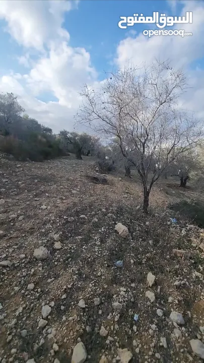 ارض للبيع من المالك مباشره