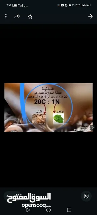 دود فيرمي كومبوست خليط بين دود الريدويجلر ودود التايجر وورم