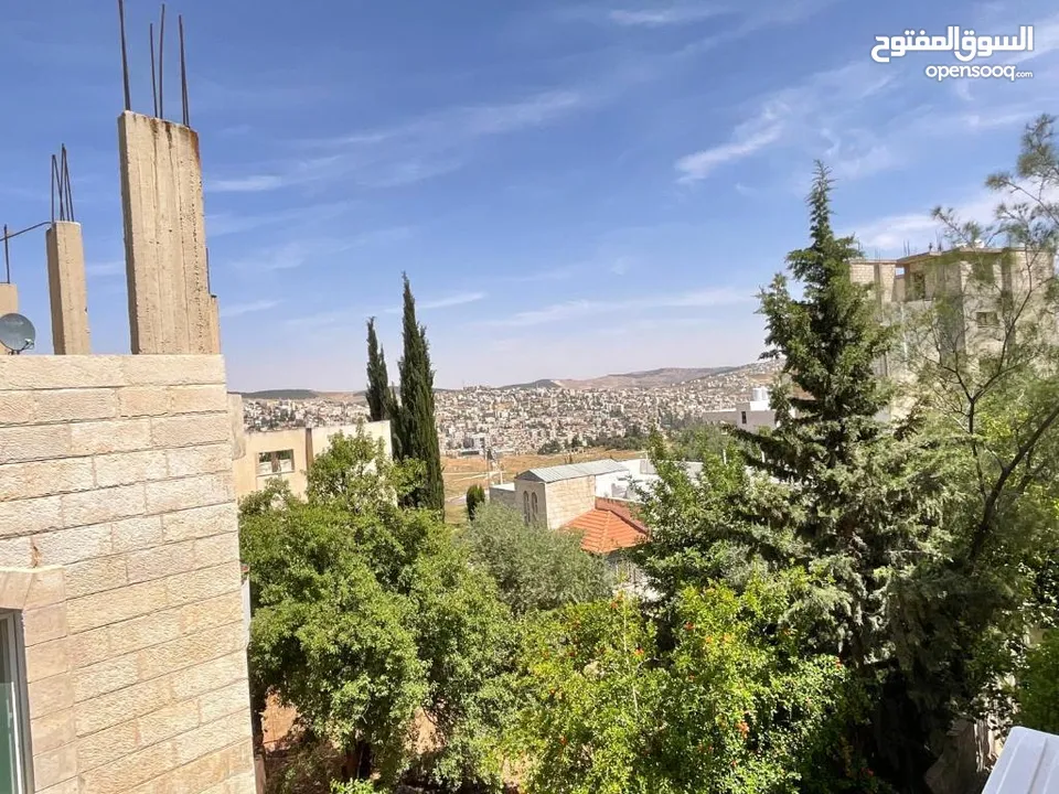 شقة بلاك ايرس (شقة مفروشة او غرفة ماستر )( يومي - اسبوعي - شهري )
