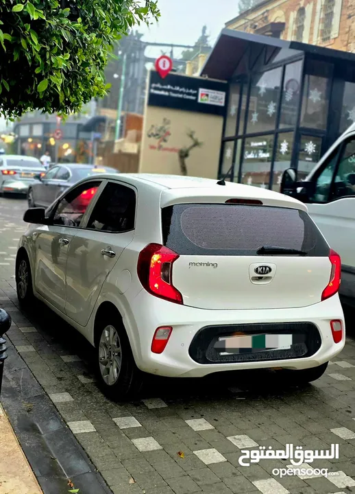 بيكانتو مورنينج 2021