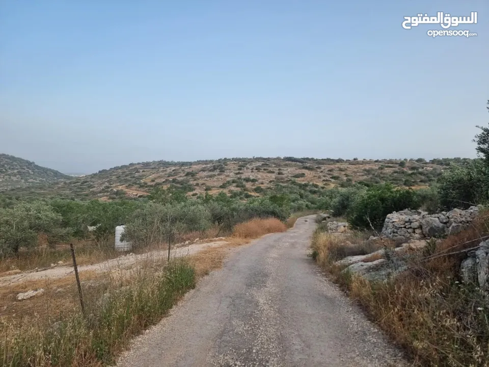 فرصة ارض للبيع بسعر مغري في طولكرم