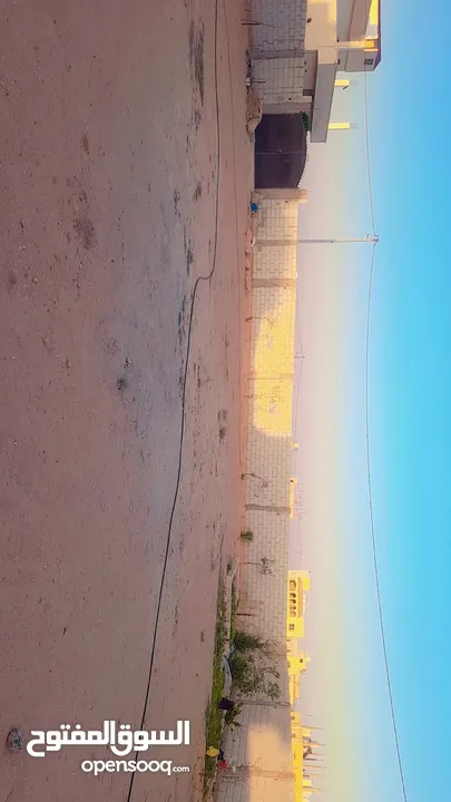 عبد المعطي