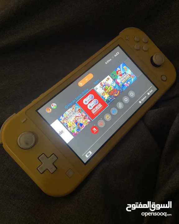 Nintendo switch lite