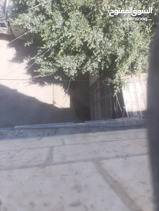 عمارة لبيع بالقرب من البنك العربي الشارع الرئيسي