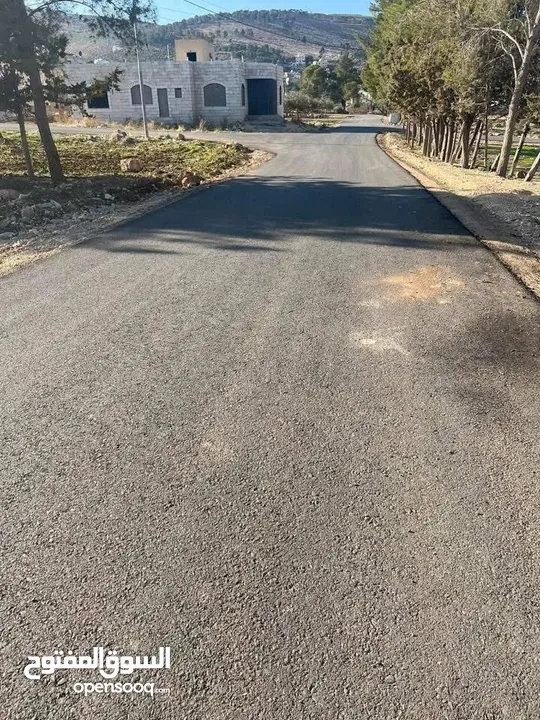ارض للبيع عين الباشا