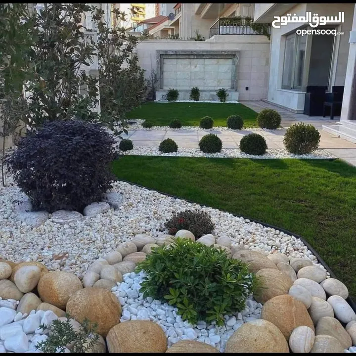 جميع أنواع الأشجار ( أشجار زينة - أشجار مثمرة )