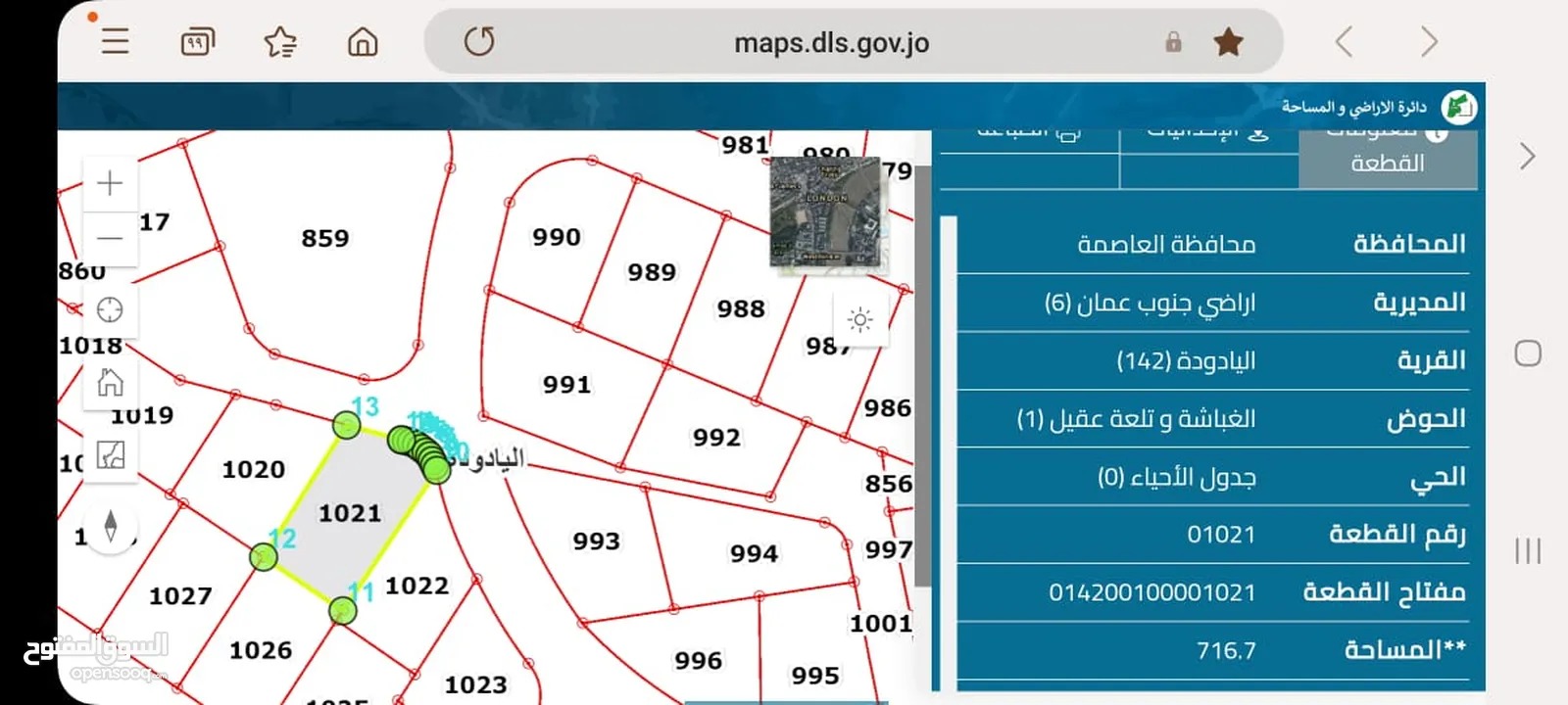 أرض للبيع عمان ضاحية الأمير علي/ طريق المطار منطقة فلل 