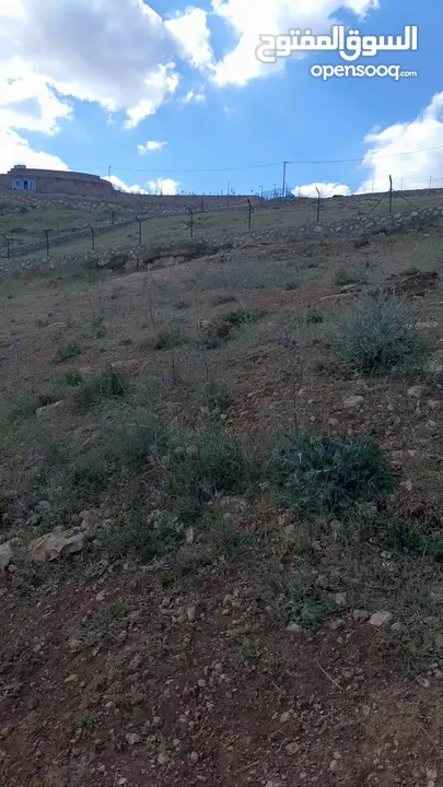 ارض زراعي منطقة شاليهات ومزارع للبيع
