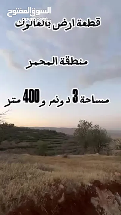 ارض بالعالوك مساحة 3 دونم و 400 متر في اجمل مناطق المحمر  للمهتمين : الاتصال على الارقام يلي بالوصف