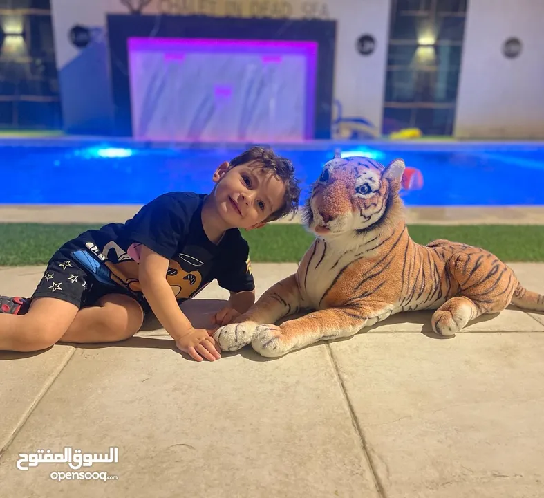 مزرعه وشاليه للايجار اليومي