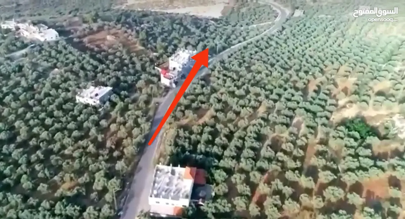 ارض للبيع فى عصيرة الشمالية، طابو نابلس، كوشان مستقل لخمسة اسخاص، كل شخص يضع سنسال على حصته