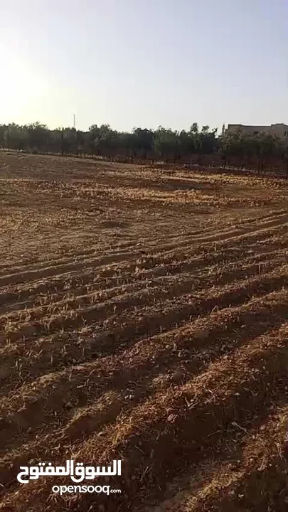 أرض مميزة للبيع – أم رمانة / جنوب عمان فرصة استثمارية رائعة للبناء ڤيلا خاصه من أجمل مناطق جنوب