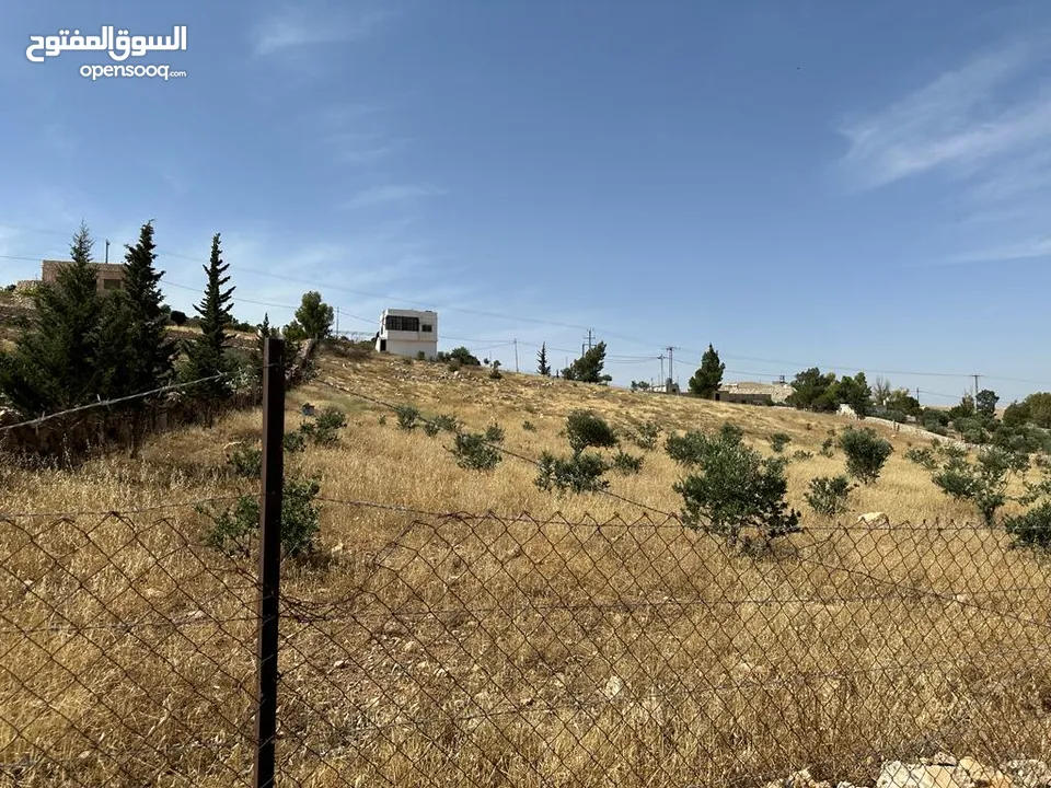 ارض 3400م2 للبيع في صروت حوض المرح الأصفر إطلالة مميزة حولها مزارع