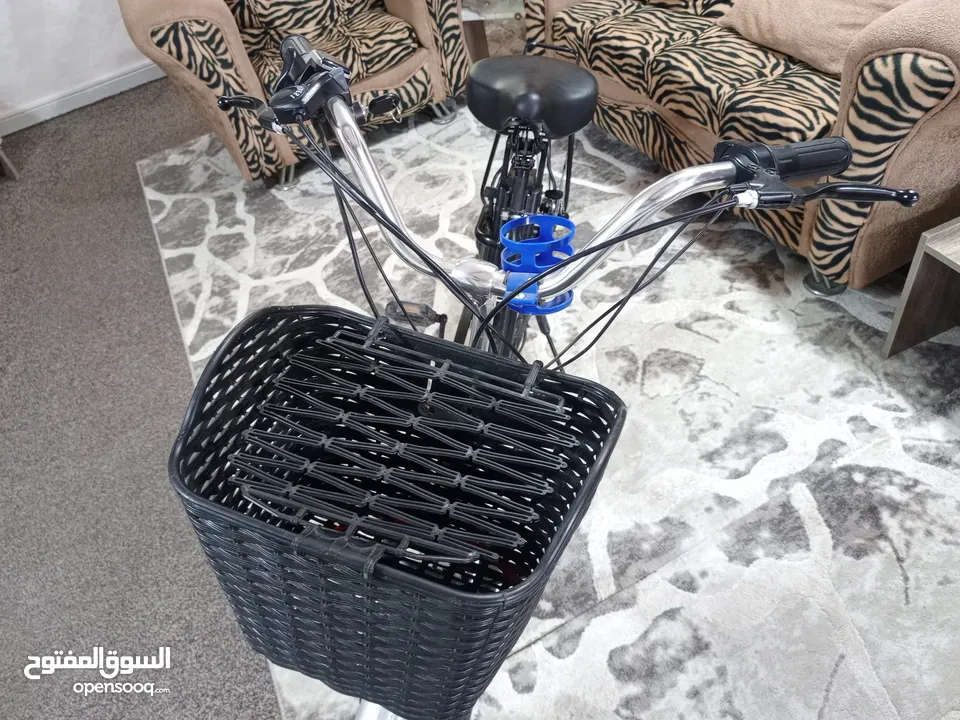بسكليت شحن