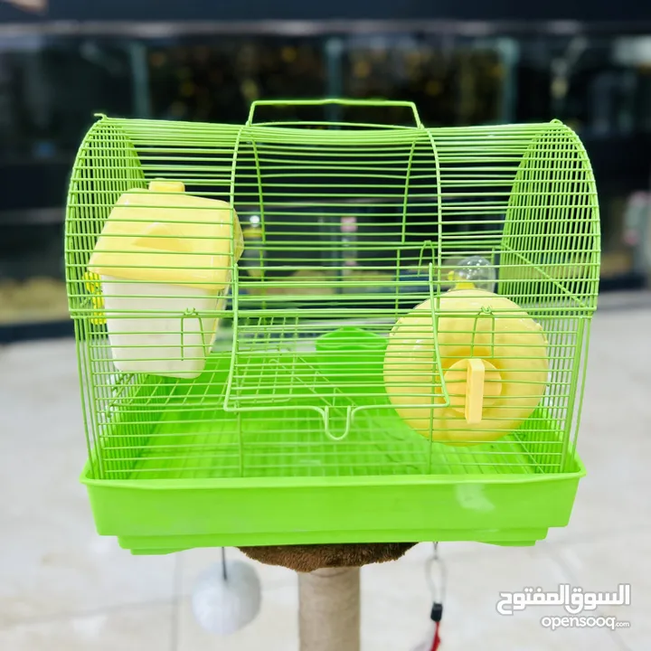 هامستر واقفاص الهامستر