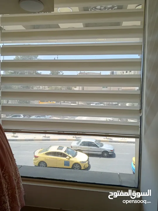 برادي  زيبرا استعمال خفيف مترين