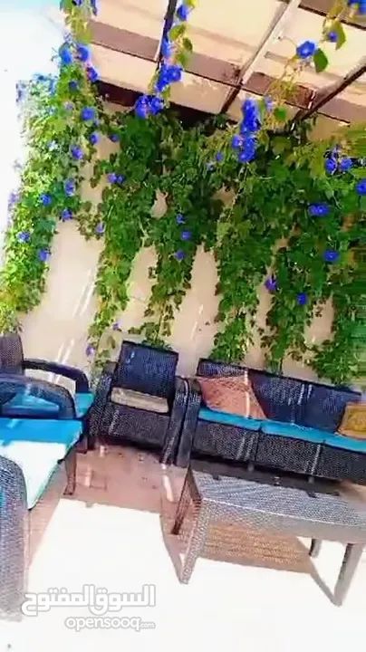 مزارع وشاليهات فينان FAYNAN عمان شارع المطار ام العمد عشر دقائق من ايكيا شارع المطار