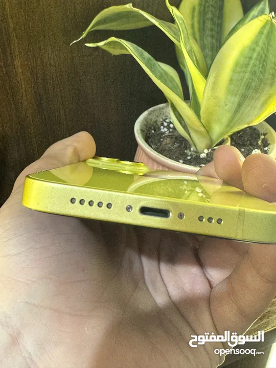 iPhone 14 used