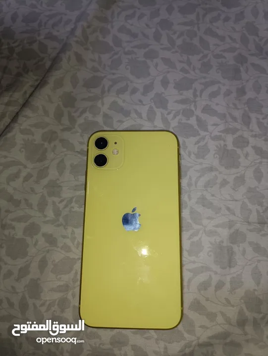 ايفون 11 لون اصفر