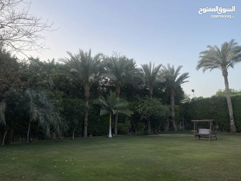 Villa El Sheikh Zayed compound el rabwa
