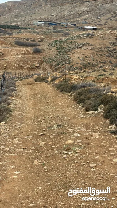 ارض مميزه للبيع في منطقة النصاريه  تصلح لبناء شليه سباحي