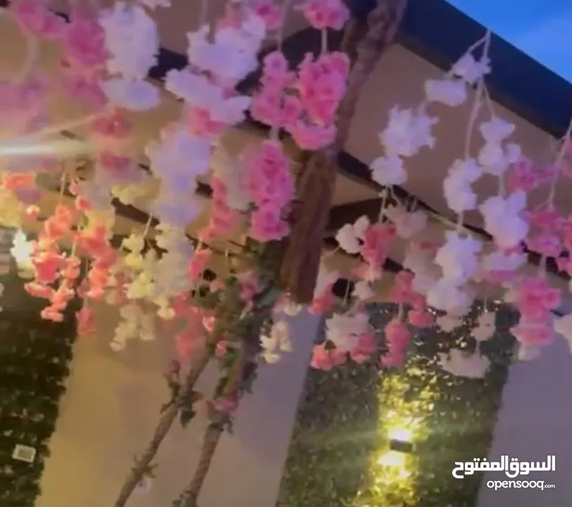 مزرعه وشاليه للايجار اليومي