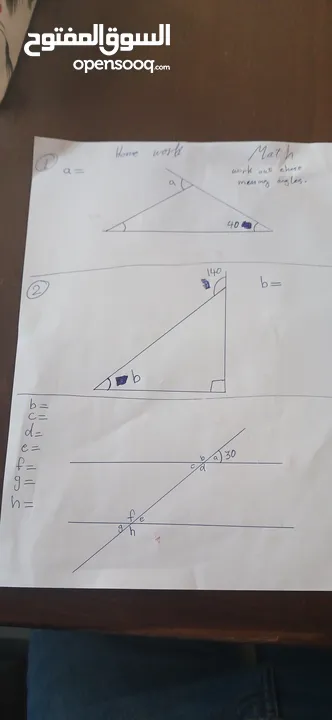 IG/SAT/IB/AP/ACT طلاب الدراسات الدولية