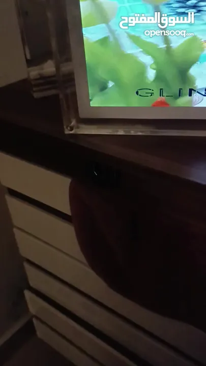 شاشه عرض صور وفيديو