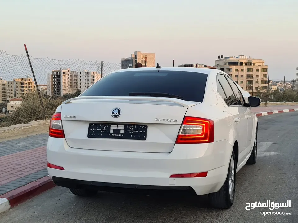 Skoda Octavia__Automatic___Diesel ___2017