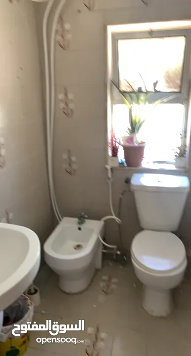 منزل للإيجار استثماري اوسكني