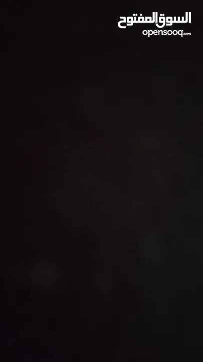 شقة للايجار