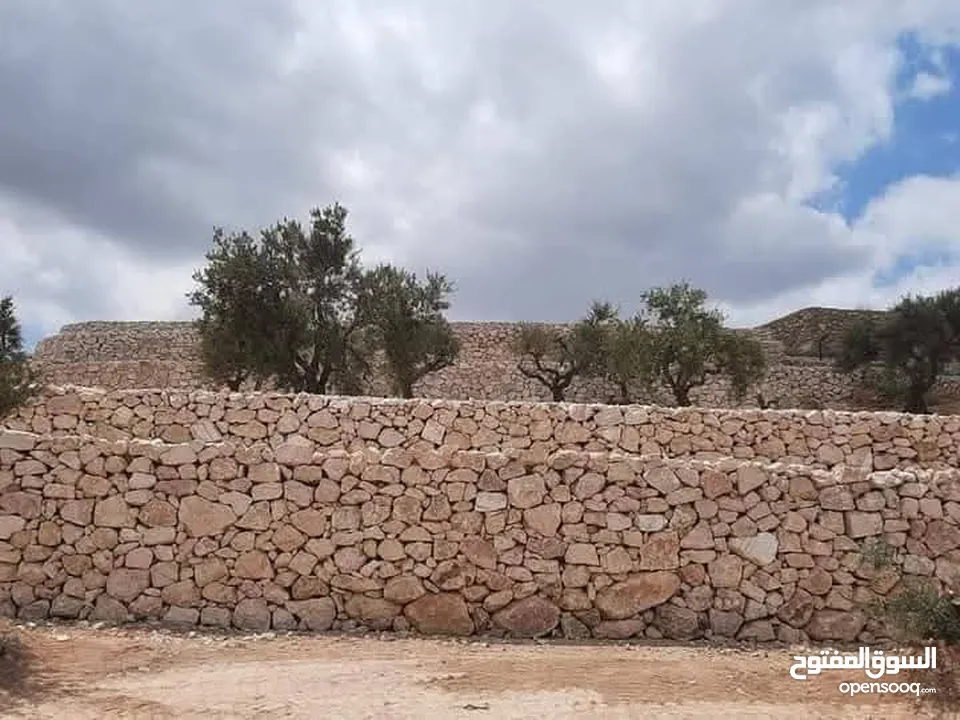 استصلاح اراضي بناء سلاسل تشييك مزارع بناء بيوت ريفيه تصميم مسابح بناء شاليهات تنفيذ جميع التعهدات