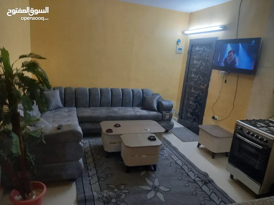شقة مفروشه للايجار اليومي والأسبوعي في اربد