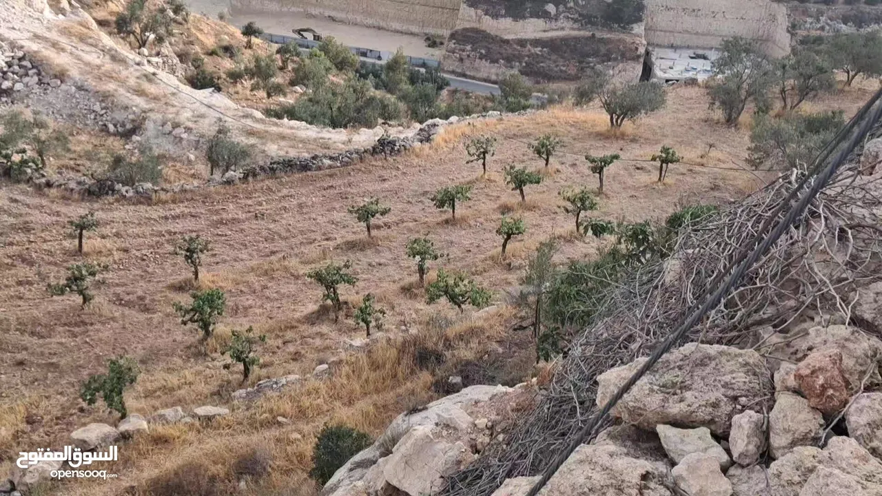 أرض في بيت كاحل مطلة على واد القف  شارع هيكلي لها من واد القف عرض 8 متر وشارع عرض 6م من بيت كاحل