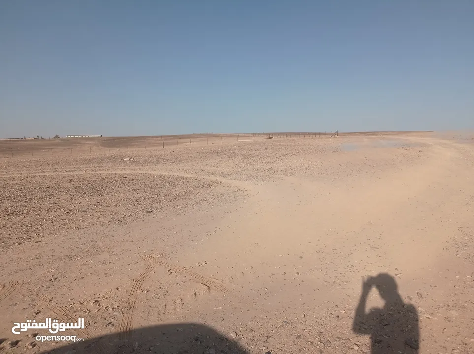 أرض زراعية منطقة أبو الحصاني 10 دونم قريبة جدا من طريق المطار