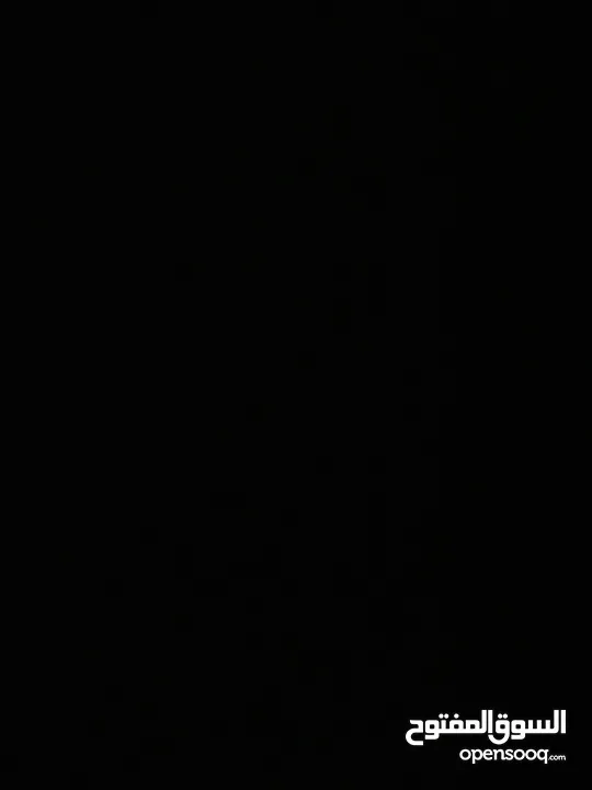 مطلوب كلب هاسكي للتبني