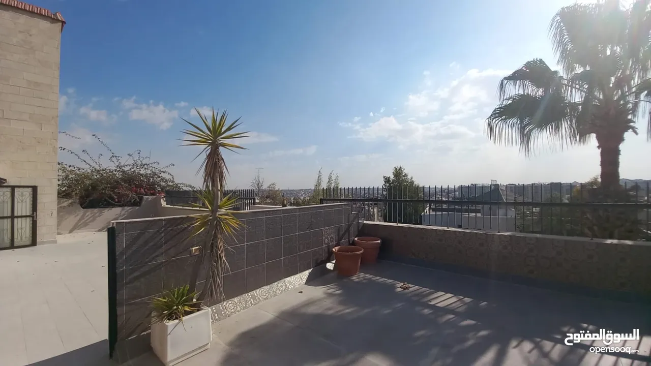 furnished apartment for rent abdoun  ( Property 39584 )-174546031