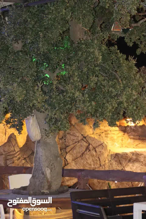 شالية رمسيس  Ramesses Chalet وسط اجمل غابات عجلون أطلالة بانورامية