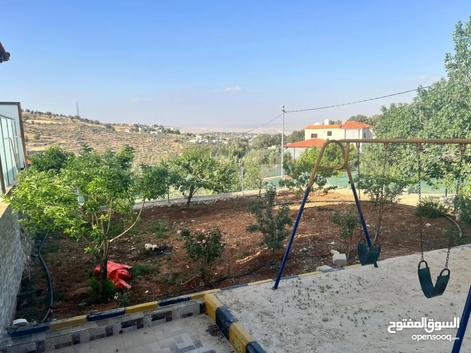 شارع الاردن الكمشة العالوك